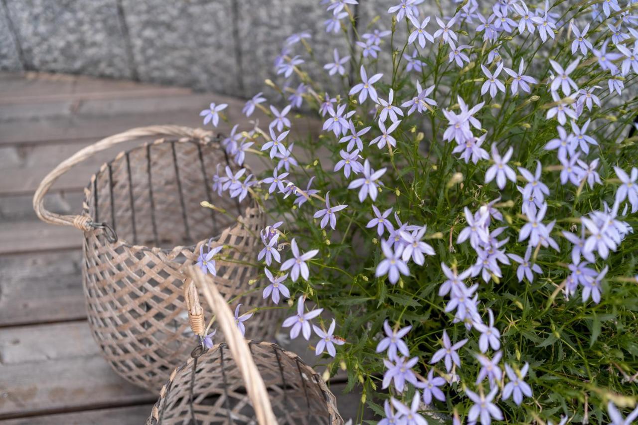 Schlegelhof Hotel เคียร์ชซาร์เทิน ภายนอก รูปภาพ